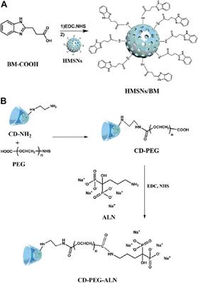 Controlled-release of apatinib for targeted inhibition of osteosarcoma by supramolecular nanovalve-modified mesoporous silica